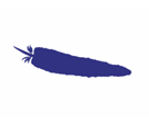 Apache Plain
