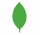 Mongodb